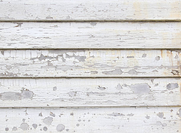 Best Engineered Wood Siding  in Surfside, FL